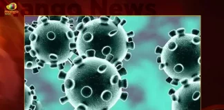 Telangana Records 87 New Covid-19 Positive Cases 73 Recoveries on October 10th, Telangana Records 87 New Covid Cases, 73 Covid Recoveries October 10th, Mango News, Mango News Telugu, Telangana Logs 87 Covid Positive Cases, 87 New COVID19 Cases In Telangana, COVID19 Cases In Telangana, Carona Live Updates, Covid19 News And Latest Updates, Covid19 Vaccine, COVID New Variant, Booster Dose, Telanagana COVID News, Zero COVID Cases In 20 Districts