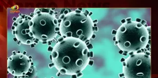 Telangana Reports 76 Corona Positive Cases 85 Recoveries on October 18th, Telangana Records 76 New Covid Cases, 85 Covid Recoveries October 19th, Mango News, Mango News Telugu, Telangana Logs 76 Covid Positive Cases, 76 New COVID19 Cases In Telangana, COVID19 Cases In Telangana, Carona Live Updates, Covid19 News And Latest Updates, Covid19 Vaccine, COVID New Variant, Booster Dose, Telanagana COVID News