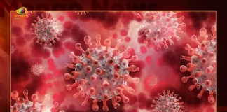 Telangana Reports 79 New Covid-19 Positive-cases 79 Recoveries on October 26th, Telangana Records 79 New Covid Cases, 79 Covid Recoveries Oct 27th, Mango News, Mango News Telugu, Telangana Logs 79 Covid Positive Cases, 79 New COVID19 Cases In Telangana, COVID19 Cases In Telangana, Carona Live Updates, Covid19 News And Latest Updates, Covid19 Vaccine, COVID New Variant, Booster Dose, Telanagana COVID News