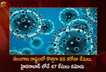 తెలంగాణ రాష్ట్రంలో కొత్తగా 85 కరోనా కేసులు, హైదరాబాద్ లోనే 47 కేసులు నమోదు Telangana Reports 85 Covid-19 Positive Cases 74 Recoveries on October 11th, Telangana Records 85 New Covid Cases, 74 Covid Recoveries October 11th, Mango News, Mango News Telugu, Telangana Logs 85 Covid Positive Cases, 85 New COVID19 Cases In Telangana, COVID19 Cases In Telangana, Carona Live Updates, Covid19 News And Latest Updates, Covid19 Vaccine, COVID New Variant, Booster Dose, Telanagana COVID News,