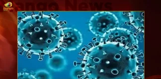 Telangana Reports 85 Covid-19 Positive Cases 74 Recoveries on October 11th, Telangana Records 85 New Covid Cases, 74 Covid Recoveries October 11th, Mango News, Mango News Telugu, Telangana Logs 85 Covid Positive Cases, 85 New COVID19 Cases In Telangana, COVID19 Cases In Telangana, Carona Live Updates, Covid19 News And Latest Updates, Covid19 Vaccine, COVID New Variant, Booster Dose, Telanagana COVID News,
