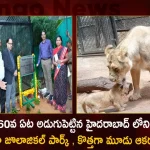 Wild Life Week and Zoo Day Celebrations held at Nehru Zoological Park Hyderabad, Wild Life Week Nehru Zoological Park, Zoo Day Celebrations Nehru Zoological Park, Nehru Zoological Park , Mango News, Mango News Telugu, Wildlife Week Celebrated At Nehru Zoo Park, Nehru Zoo Park, Nehru Zoological Completes 60 Years, Nehru Zoological Park 3 New Attractions, Nehru Zoological Park Latest News And Updates, Hyderabad Zoo Enters 60Th Year, Zoological Park Added New Attractions