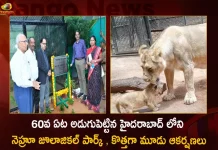 Wild Life Week and Zoo Day Celebrations held at Nehru Zoological Park Hyderabad, Wild Life Week Nehru Zoological Park, Zoo Day Celebrations Nehru Zoological Park, Nehru Zoological Park , Mango News, Mango News Telugu, Wildlife Week Celebrated At Nehru Zoo Park, Nehru Zoo Park, Nehru Zoological Completes 60 Years, Nehru Zoological Park 3 New Attractions, Nehru Zoological Park Latest News And Updates, Hyderabad Zoo Enters 60Th Year, Zoological Park Added New Attractions