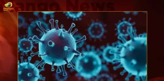 811 Corona Positive Cases 2 Deaths Reported in India in Last 24 Hours, India Records 811 New Covid Cases, 2 Covid Deaths Nov 9th, Mango News, Mango News Telugu, India Logs 811 Covid Positive Cases, 811 New COVID19 Cases In Telangana, COVID19 Cases In India, Carona Live Updates, Covid19 News And Latest Updates, Covid19 Vaccine, COVID New Variant, Booster Dose, India COVID News