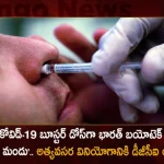 Bharat Biotech's Nasal Vaccine as COVID-19 Booster Dose Gets DGCI Nod For Emergency Usage,Bharat Biotech Nasal Vaccine,Covid-19 Booster Dose,DGCI Approval,Nasal Vaccine Emergency Use,Mango News,Mango News Telugu,Covid In India,Covid,Covid-19 India,Covid-19 Latest News And Updates,Covid-19 Updates,Covid India,India Covid,Covid News And Live Updates,Carona News,Carona Updates,Carona Updates,Cowaxin,Covid Vaccine,Covid Vaccine Updates And News,Covid Live