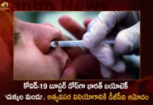 Bharat Biotech's Nasal Vaccine as COVID-19 Booster Dose Gets DGCI Nod For Emergency Usage,Bharat Biotech Nasal Vaccine,Covid-19 Booster Dose,DGCI Approval,Nasal Vaccine Emergency Use,Mango News,Mango News Telugu,Covid In India,Covid,Covid-19 India,Covid-19 Latest News And Updates,Covid-19 Updates,Covid India,India Covid,Covid News And Live Updates,Carona News,Carona Updates,Carona Updates,Cowaxin,Covid Vaccine,Covid Vaccine Updates And News,Covid Live