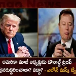 Elon Musk Announces Twitter Poll To Bring Back US Ex President Donald Trump For Account Reinstatement,Should Former Us President Donald Trump's Account Be Reconciled, Elon Musk Voting On Twitter,Former Us President Donald Trump,Mango News,Mango News Telugu,Elon Musk Buys Twitter, Elon Musk Latest News And Updates, Elon Musk News And Updates, Elon Musk Takes Control of Twitter, Elon Musk Tesla, Elon Musk Twitter Live Updates, Elon Musk Twitter Takeover,Terminates Top Executives, Twitter Ex CEO Parag Agrawal, Twitter Ex CFO Ned Segal, Twitter Verification Blue Tick To Cost $8