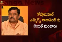 High Court Grants Bail to Goshamahal MLA Raja Singh, Telangana HC Bail To Raja Singh, HC Bail To MLA Raja Singh, Bail to Goshamahal MLA Raja Singh, Mango News,Mango News Telugu,MLA Raja Singh,MLA Raja Singh Latest News And Updates,MLA Raja Singh News And Live Updates,Goshamahal MLA Raja Singh,Goshamahal MLA,Telangana MLA Raja Singh,Telangana News And Updates,High Court Grants Bail to Raja Singh
