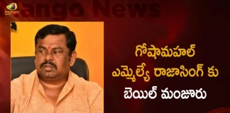 High Court Grants Bail to Goshamahal MLA Raja Singh, Telangana HC Bail To Raja Singh, HC Bail To MLA Raja Singh, Bail to Goshamahal MLA Raja Singh, Mango News,Mango News Telugu,MLA Raja Singh,MLA Raja Singh Latest News And Updates,MLA Raja Singh News And Live Updates,Goshamahal MLA Raja Singh,Goshamahal MLA,Telangana MLA Raja Singh,Telangana News And Updates,High Court Grants Bail to Raja Singh