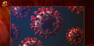 India Corona Updates 1046 Positive Cases in Last 24 Hours Death Toll Climbs to 529007, India Records 1046 New Covid Cases, Covid Deaths Nov 1 , Mango News, Mango News Telugu, India Logs 1046 Covid Positive Cases, 1046 New COVID19 Cases In Telangana, COVID19 Cases In India, Carona Live Updates, Covid19 News And Latest Updates, Covid19 Vaccine, COVID New Variant, Booster Dose, India COVID News