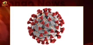 India Corona Updates: 360 New Positive Cases 5 Deaths Reported in the Last 24 Hours,5 Covid Deaths,Covid Last 24 Hours, 360 People Tested Positive,Coronavirus In India,Mango News,Mango News Telugu,Covid In India,Covid,Covid-19 India,Covid-19 Latest News And Updates,Covid-19 Updates,Covid India,India Covid,Covid News And Live Updates,Carona News,Carona Updates,Carona Updates,Cowaxin,Covid Vaccine,Covid Vaccine Updates And News,Covid Live