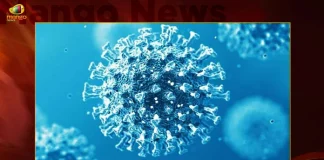 India Records 408 Covid-19 Positive Cases 5 Deaths in Last 24 Hours,5 Covid Deaths,Covid Last 24 Hours, 408 People Tested Positive,Coronavirus In India,Mango News,Mango News Telugu,Covid In India,Covid,Covid-19 India,Covid-19 Latest News And Updates,Covid-19 Updates,Covid India,India Covid,Covid News And Live Updates,Carona News,Carona Updates,Carona Updates,Cowaxin,Covid Vaccine,Covid Vaccine Updates And News,Covid Live