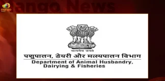 Ministry of Fisheries Animal Husbandry and Dairying Announces National Gopal Ratna Awards 2022,Ministry of Fisheries,Ministry of Animal Husbandry and Dairying,National Gopal Ratna Awards 2022,Centre Announced Gopal Ratna Awards,Gopal Ratna Awards,Gopal Ratna,Gopal Ratna Awards Latest News And Updates,National Gopal Ratna Awards,National Gopal Ratna Awards 2022,Ministry of Fisheries News And Updates,Central Government,Indian Government News and Latest Updates,PM Modi