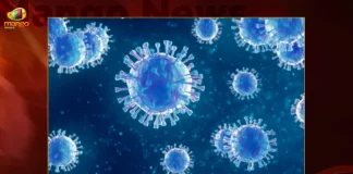 Telangana Records 70 Covid-19 Positive Cases 79 Recoveries on November 2nd, Telangana Records 70 New Covid Cases, 79 Covid Recoveries November 2nd, Mango News, Mango News Telugu, Telangana Logs 70 Covid Positive Cases, 70 New COVID19 Cases In Telangana, COVID19 Cases In Telangana, Carona Live Updates, Covid19 News And Latest Updates, Covid19 Vaccine, COVID New Variant, Booster Dose, Telanagana COVID News