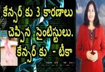 Three Main Causes of Cancer Is there a Cancer vaccine YUVARAJ infotainment,Three Main Causes Of Cancer,Is There A Cancer Vaccine,Health Tips,Yuvaraj Infotainment,Cancer,Cancer Reasons,Cancer Causes,Causes Of Cancer,Cancer Vaccine,Cancer Vaccines,Cancer Vaccine Side Effects,Cancer Vaccine In India,Types Of Cancer,Cancer Vaccine Successful,World Health Organization,Cancer Symptoms,Cancer Causes And Symptoms,Cancer Types,How To Prevent Cancer,Health Tips Telugu,Unknown Facts,Mango News,Mango News Telugu