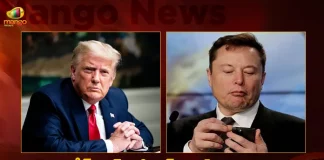 US Former President Donald Trump's Twitter Account Restored After Elon Musk's Online Poll,Should Former Us President Donald Trump's Account Be Reconciled, Elon Musk Voting On Twitter,Former Us President Donald Trump,Mango News,Mango News Telugu,Elon Musk Buys Twitter, Elon Musk Latest News And Updates, Elon Musk News And Updates, Elon Musk Takes Control of Twitter, Elon Musk Tesla, Elon Musk Twitter Live Updates, Elon Musk Twitter Takeover,Terminates Top Executives, Twitter Ex CEO Parag Agrawal, Twitter Ex CFO Ned Segal, Twitter Verification Blue Tick To Cost $8