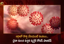 40-year Old Man Who Came From China Tested Positive For Covid-19 in Agra,Covid-19 in Agra,40 year Man Tested Positive For Covid-19,Covid-19 Positive New Variant In Agra,Mango News,Mango News Telugu,BF7 Variant Cases,BF7 Variant Latest News and Updates,Omicron BF7 Symptoms,BF7 Variant Symptoms,BF7 Variant Severity,Omicron BF7 In India,BF7 Covid Variant,Ba 5 1 7 Variant,Omicron New Variant,Omicron New Variant In India,Omicron Bf.7 Symptoms,Bf.7 Variant Severity,Omicron Bf.7 In India,Ba 5.1 7 Variant,Bf.7 Variant,BF7 Variant In India,Bf.7 Variant Covid,Bf.7 Variant Cdc,Bf.7 Variant Canada,Bf.7 Variant Uk,Bf.7 Variant Belgium,Bf.7 Variant Mutations,Covid BF7 Variant,Omicron BF7 Variant,Covid BF7 Variant Symptoms