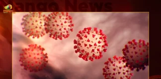 40-year Old Man Who Came From China Tested Positive For Covid-19 in Agra,Covid-19 in Agra,40 year Man Tested Positive For Covid-19,Covid-19 Positive New Variant In Agra,Mango News,Mango News Telugu,BF7 Variant Cases,BF7 Variant Latest News and Updates,Omicron BF7 Symptoms,BF7 Variant Symptoms,BF7 Variant Severity,Omicron BF7 In India,BF7 Covid Variant,Ba 5 1 7 Variant,Omicron New Variant,Omicron New Variant In India,Omicron Bf.7 Symptoms,Bf.7 Variant Severity,Omicron Bf.7 In India,Ba 5.1 7 Variant,Bf.7 Variant,BF7 Variant In India,Bf.7 Variant Covid,Bf.7 Variant Cdc,Bf.7 Variant Canada,Bf.7 Variant Uk,Bf.7 Variant Belgium,Bf.7 Variant Mutations,Covid BF7 Variant,Omicron BF7 Variant,Covid BF7 Variant Symptoms