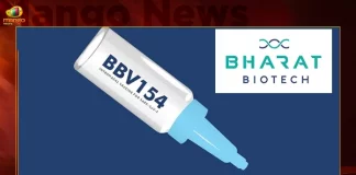 Bharat Biotech Announces Price of Covid Nasal Vaccine, Vaccine Rs 800 Per Dose for Private Hospitals, Vaccine Rs 325 for Central State Govts, Mango News, Mango News Telugu, Bharat Biotech Vaccine, Bharat Biotech Covid Nasal Vaccine, Bharat Biotech Nasal Vaccine Cost, Bharat Bio Nasal Vaccine, Nasal Covid vaccine, Bharat Biotech announces vaccine price, Covid Nasal Vaccine Pricing Out