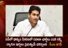 CM YS Jagan Held Review on Grain Collection and Kharif Crops in AP Today Gives Several Key Advises, CM YS Jagan Gives Several Key Advises, Review on Grain Collection and Kharif Crops in AP, Review on Kharif Crops in AP, Review on Grain Collection in AP, CM YS Jagan Held Review, CM YS Jagan Key Advises, AP CM YS Jagan Mohan Reddy, Grain Collection, AP Grain Collection News, AP Grain Collection Latest News, AP Grain Collection Live Updates, Mango News, Mango News Telugu