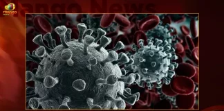 Centre Alerts States to increase Genome Sequencing Amid Rise in COVID-19 cases in China USA,Genome COVID-19,COVID-19 Genome Sequence,COVID-19 USA,COVID-19 China,Mango News,Mango News Telugu,Coronavirus In India,Covid In India,Covid,Covid-19 India,Covid-19 Latest News And Updates,Covid-19 Updates,Covid India,India Covid,Covid News And Live Updates,Carona News,Carona Updates,Carona Updates,Cowaxin,Covid Vaccine,Covid Vaccine Updates And News,Covid Live