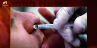 Centre Approves Bharat Biotech's Intranasal Vaccine For Covid-19 Amid New Variant Omicron BF.7 Cases,Covid New Variant Cases,Bharat Biotech Nasal Vaccine,Centre Approved Nasal Vaccine,Mango News,Mango News Telugu,Bharat Biotech Nasal Vaccine Availability,When Will Nasal Vaccine Be Available,Bharat Biotech Nasal Vaccine Name,Nasal Vaccine Covid Bharat Biotech,Bharat Biotech Nasal Vaccine Phase 3,Nasal Vaccine Bharat Biotech Launch Date,Bharat Biotech Nasal Vaccine Efficacy,Nasal Vaccine Covid 19,Bharat Biotech Nasal Vaccine Phase 2,Bharat Biotech Nasal Vaccine Launch Date In India,Bharat Biotech Nasal Vaccine Phase 1,Bharat Biotech Nasal Vaccine Trial Result,Bharat Biotech Nasal Vaccines Awaiting Regulatory Approval,Nasal Vaccine Bharat Biotech,Bharat Biotech Nasal Vaccines,List Of Nasal Vaccines,Nasal Administration Vaccines,Nasal And Inhaled Vaccines,Nasal Covid 19 Vaccines,Nasal Covid Vaccine Name,Nasal Covid Vaccines,Nasal Delivery Of Vaccines,Nasal Flu Vaccines,Nasal Spray Vaccines,Nasal Spray Vaccines Covid,Nasal Spray Vaccines For Covid 19,Nasal Vaccine Bharat Biotech Launch Date,Nasal Vaccine Examples,Nasal Vaccine India,Nasal Vaccine Update,Nasal Vaccines,Nasal Vaccines For Covid,Nasal Vaccines For Covid 19,Nasal Vaccines For Covid-19