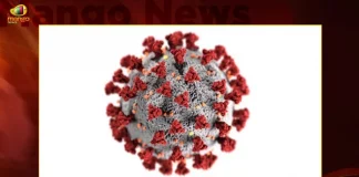 Covid-19 in India: 162 New Positive Cases 238 Recoveries Reported in Last 24 Hours,238 COVID Recoveries,Covid Deaths,Covid Last 24 Hours, 162 People Tested Positive,Coronavirus In India,Mango News,Mango News Telugu,Covid In India,Covid,Covid-19 India,Covid-19 Latest News And Updates,Covid-19 Updates,Covid India,India Covid,Covid News And Live Updates,Carona News,Carona Updates,Carona Updates,Cowaxin,Covid Vaccine,Covid Vaccine Updates And News,Covid Live