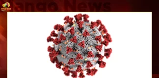 Covid-19 in India 188 New Positive Cases Zero Deaths Reported in Last 24 Hours,Covid-19 in India,188 New Positive Cases,Zero Deaths Reported,Mango News,Mango News Telugu,0 Covid Deaths,Covid Last 24 Hours, 188 People Tested Positive,Coronavirus In India,Covid In India,Covid,Covid-19 India,Covid-19 Latest News And Updates,Covid-19 Updates,Covid India,India Covid,Covid News And Live Updates,Carona News,Carona Updates,Carona Updates,Cowaxin,Covid Vaccine,Covid Vaccine Updates And News,Covid Live