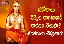 Dr Ananta Lakshmi Explains about Meaning of Soundarya Lahari 63rd Sloka and Story of Chakora Birds,చకోరాలు వెన్నెల తాగటానికి కారణం? శంకరులు చెపుతారు!,Soundarya Lahari,Sloka 63,Adi Shankara,Dr. Ananta Lakshmi,chakora,chakora birds,chakora birds story,adi shankara on chakora birds,chakora drink of the moonlight,moonlight,chakora moonlight,adi shankaracharya,adi shankaracharya on chakora birds,soundarya lahari,soundarya lahari meaning,ananta lakshmi videos,devotional videos,soundarya lahari videos,devotional videos 2022,ananta lakshmi latest videos