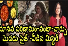 వంట చరిత్ర ఏంటి? ప్రజలు ఎప్పుడు ఆహారాన్ని వండటం ప్రారంభించారు? What Is The History Of Cooking When And Why Did People Start To Cook Food Yuvaraj Infotainment,History Of Cooking,When And Why Did People Start To Cook Food,Vanta Varpu,Yuvaraj Infotainment,Coking,Food,When Did Cooking Start,Humans Cook Food,Humans Start Cooking Food,Why Do Humans Cook Food,Definition Of Cooking,Food Mystery,Cooking Mystery,Culinary Mystery,Best Culinary Mysteries,Culinary Story,Human Life,Daily Life,Japanese Food,Indian Food,Chinese Food,Unknown Facts,Interesting Stories,Mango News,Mango News Telugu