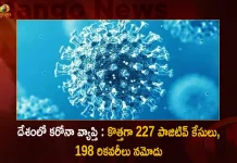 దేశంలో కరోనా వ్యాప్తి : కొత్తగా 227 పాజిటివ్ కేసులు, 198 రికవరీలు నమోదు India Corona Updates 227 New Positive Cases 2 Deaths Reported in the Last 24 Hours,India Corona Updates,227 New Positive Cases, 2 Deaths Reported in the Last 24 Hours,2 Covid Deaths,Covid Last 24 Hours, 227 People Tested Positive,Coronavirus In India,Mango News,Mango News Telugu,Covid In India,Covid,Covid-19 India,Covid-19 Latest News And Updates,Covid-19 Updates,Covid India,India Covid,Covid News And Live Updates,Carona News,Carona Updates,Carona Updates,Cowaxin,Covid Vaccine,Covid Vaccine Updates And News,Covid Live