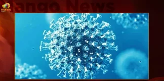 India Corona Updates 227 New Positive Cases 2 Deaths Reported in the Last 24 Hours,India Corona Updates,227 New Positive Cases, 2 Deaths Reported in the Last 24 Hours,2 Covid Deaths,Covid Last 24 Hours, 227 People Tested Positive,Coronavirus In India,Mango News,Mango News Telugu,Covid In India,Covid,Covid-19 India,Covid-19 Latest News And Updates,Covid-19 Updates,Covid India,India Covid,Covid News And Live Updates,Carona News,Carona Updates,Carona Updates,Cowaxin,Covid Vaccine,Covid Vaccine Updates And News,Covid Live