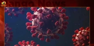 India Covid-19 Updates 243 Fresh Positive Cases 1 Death Reported in the Last 24 Hours,Covid Deaths,Covid Last 24 Hours, 243 People Tested Positive,Coronavirus In India,Mango News,Mango News Telugu,Covid In India,Covid,Covid-19 India,Covid-19 Latest News And Updates,Covid-19 Updates,Covid India,India Covid,Covid News And Live Updates,Carona News,Carona Updates,Carona Updates,Cowaxin,Covid Vaccine,Covid Vaccine Updates And News,Covid Live