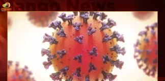 India Reports 268 Corona Positive Cases, 182 Recoveries in Last 24 Hours