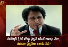 Ramiz Raja Removed as the Chairman of Pakistan Cricket Board Najam Sethi set to Replace,Najam Sethi next Pakistan Cricket Board chairman, Pakistan Cricket Board chairman, Pakistan Cricket Board Rameez Raja,Mango News,Mango News Telugu,Pakistan Cricket Team,Pakistan Cricket Board Members,Pakistan Cricket Board Net Worth,Pakistan Cricket Team Players,Pakistan Cricket Team 2022,Pakistan Cricket News,Pakistan Cricket Coach,Pakistan Cricket Match,Pakistan Cricket Board Chairman,Pakistan Cricket Board,Pakistan Cricket Board Twitter,Pakistan Cricket Board Latest News,Pakistan Cricket Board Central Contract,Pakistan Cricket Board Shop,Pakistan Cricket Board Shop Online,Pakistan Cricket Board Jobs,Pcb Pakistan Cricket Board,Current Chairman Of Pakistan Cricket Board