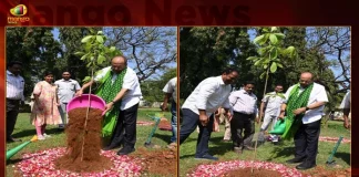 Telangana CS Somesh Kumar Participates in Green India Challenge and Planted Sapling on his Birthday,Telangana CS Somesh Kumar,Green India Challenge,Planted Sapling on his Birthday,Mango News,Mango News Telugu,Green India Challenge Website,Green India Challenge Wikipedia,Green India Challenge Founder,Green India Challenge Telangana,Green India Challenge Certificate Download,Green India Challenge Started By,Green India Challenge Anic,Green India Challenge Logo,Green India Challenge Twitter,Green India Challenge Santosh,Alekhya Harika Green India Challenge,Vijay Green India Challenge
