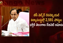 Telangana Cabinet Approves Recruitment of 2591 New Posts in BC Welfare Residential Educational Institutions in the State,BC Welfare Residential Educational Institutions,Telangana Cabinet approves 2591 new posts,Telangana BC Welfare Residential Educational Institutions,Mango News,Mango News Telugu,Telangana Government,Telangana Govt Jobs 2022,Telangana Govt Jobs,Telangana Govt Jobs News And Live Updates,Telangana Govt Jobs Notification,Telangana Govt Jobs Notifications 2022,Telangana Govt Notifications 2022,State BC Welfare Residential Educational Institutions,2591 New Posts