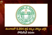 Telangana Medical Health Services Recruitment Board Released Notification for Filling up 5204 Vacancies of Staff Nurses,Telangana Medical Health Services,Medical Health Services Recruitment Board,Notification for Filling up 5204 Vacancies,Staff Nurses 5204 Vacancies,Staff Nurses Notification,Staff Nurses Recruitment,Mango News,Mango News Telugu,CM KCR News And Live Updates, Telangna Congress Party, Telangna BJP Party, YSRTP,TRS Party, BRS Party, Telangana Latest News And Updates,Telangana Politics, Telangana Political News And Updates,YSRTP Chief YS Sharmila,YSRTP Chief YS Sharmila Latest News and Updates