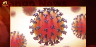 Covid-19 in India 165 New Positive Cases 251 Recoveries Reported in Last 24 Hours,251 Covid Recoveries,Covid Last 24 Hours, 251 People Tested Positive,Coronavirus In India,Mango News,Mango News Telugu,Covid In India,Covid,Covid-19 India,Covid-19 Latest News And Updates,Covid-19 Updates,Covid India,India Covid,Covid News And Live Updates,Carona News,Carona Updates,Carona Updates,Cowaxin,Covid Vaccine,Covid Vaccine Updates And News,Covid Live