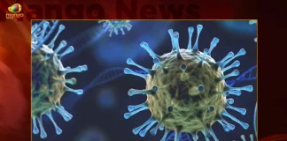 India Reports 275 New Covid-19 Positive Cases 2 Deaths in Last 24 Hours,2 Covid Deaths,Covid Last 24 Hours, 275 People Tested Positive,Coronavirus In India,Mango News,Mango News Telugu,Covid In India,Covid,Covid-19 India,Covid-19 Latest News And Updates,Covid-19 Updates,Covid India,India Covid,Covid News And Live Updates,Carona News,Carona Updates,Carona Updates,Cowaxin,Covid Vaccine,Covid Vaccine Updates And News,Covid Live