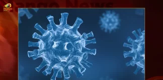 132 Fresh Corona Positive Cases 147 Recoveries Reported in India in the Last 24 Hours,132 Fresh Corona Positive Cases,147 Corona Recoveries,Reported in India in the Last 24 Hours,Mango News,Mango News Telugu,Covid Last 24 Hours, 294 People Tested Positive,Coronavirus In India,Covid In India,Covid,Covid-19 India,Covid-19 Latest News And Updates,Covid-19 Updates,Covid India,India Covid,Covid News And Live Updates,Carona News,Carona Updates,Carona Updates,Cowaxin,Covid Vaccine,Covid Vaccine Updates And News,Covid Live