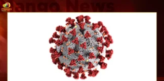 66 New Corona Positive Cases 158 Recoveries Reported in India in the Last 24 Hours,66 New Corona Positive Cases,158 Recoveries,Reported in India in the Last 24 Hours,Mango News,Mango News Telugu,Covid In India,Covid,Covid-19 India,Covid-19 Latest News And Updates,Covid-19 Updates,Covid India,India Covid,Covid News And Live Updates,Carona News,Carona Updates,Carona Updates,Cowaxin,Covid Vaccine,Covid Vaccine Updates And News,Covid Live