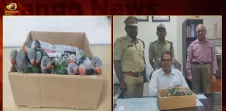 Alexandrine Parakeets were Seized by by Telangana Forest Department PCCF Dobriyal Orders to Send Nehru Zoo Park,Alexandrine Parakeets,were Seized by by Telangana,Telangana Forest Department,PCCF Dobriyal Orders,Send Nehru Zoo Park,Mango News,Mango News Telugu,Nehru Zoo Park Ticket Price,Nehru Zoological Park Tickets,Nehru Zoological Park Nearest Metro,Zoo Park Timings,Nehru Zoological Park Entry Fee 2022,Nehru Zoological Park Online Tickets Booking,Nehru Zoological Park Safari,Nehru Zoological Park Timings,Nehru Zoo Park Contact Number,Nehru Zoo Park Map,Nehru Zoo Park Hyderabad Area,Nehru Zoo Park Hyderabad Contact Number,Nehru Zoo Park Area,Nehru Zoo Park Online Booking,Nehru Zoo Park Images,Nehru Zoo Park Distance,Nehru Zoological Park Open Or Closed,Hyd Nehru Zoo Park,Nearest Metro Station To Nehru Zoo Park,Buses To Nehru Zoo Park,Nehru Zoological Park Fees