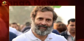 Bharat Jodo Yatra Rahul Gandhi Responds Over T-shirt Debate Reveals Reason Behind Not Wearing Sweater,Bharat Jodo Yatra HAryana,Arjuna Awardee Deepak Niwas Hooda,Female Boxer Saweety Boora,Meets Rahul Gandhi in Haryana,Mango News,Mango news Telugu,Bharat Jodo Yatra,Priyanka Gandhi Participate In Rahul's Yatra, Bharat Jodo Yatra Madhya Pradesh, Rahul Gandhi Bharat Jodo Yatra, Rahul Gandhi Congress, Rahul Gandhi Padha Yatra, Congress Party , Indian National Congress, Inc Latest News And Updates, Sonia Gandhi, Priyanka Gandhi, Rahul Gandhi, Congress President Mallikarjun