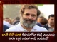 Bharat Jodo Yatra Rahul Gandhi Responds Over T-shirt Debate Reveals Reason Behind Not Wearing Sweater,Bharat Jodo Yatra HAryana,Arjuna Awardee Deepak Niwas Hooda,Female Boxer Saweety Boora,Meets Rahul Gandhi in Haryana,Mango News,Mango news Telugu,Bharat Jodo Yatra,Priyanka Gandhi Participate In Rahul's Yatra, Bharat Jodo Yatra Madhya Pradesh, Rahul Gandhi Bharat Jodo Yatra, Rahul Gandhi Congress, Rahul Gandhi Padha Yatra, Congress Party , Indian National Congress, Inc Latest News And Updates, Sonia Gandhi, Priyanka Gandhi, Rahul Gandhi, Congress President Mallikarjun