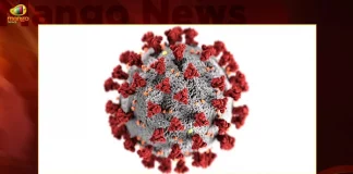 Covid-19 in India: 170 New Positive Cases 1 Death Reported in Last 24 Hours,1 Covid Deaths,Covid Last 24 Hours, 170 People Tested Positive,Coronavirus In India,Mango News,Mango News Telugu,Covid In India,Covid,Covid-19 India,Covid-19 Latest News And Updates,Covid-19 Updates,Covid India,India Covid,Covid News And Live Updates,Carona News,Carona Updates,Carona Updates,Cowaxin,Covid Vaccine,Covid Vaccine Updates And News,Covid Live