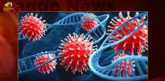 INSACOG Announces Five Omicron's XBB.1.5 Sub-variant Cases Found in India,Xbb 1 5 Variant 2,Xbb 1 5 Variant 1,Xbb 1 5 Variant 4,Xbb 1 5 Variant 3,Xbb 1 5 Variant 5,Mango News,Mango News Telugu,XBB.1.5 Sub-variant Cases,INSACOG Announces Five Cases,INSACOG Announces Xbb 1 5 Variant Cases,BF7 Variant Cases,BF7 Variant Latest News and Updates,Omicron BF7 Symptoms,BF7 Variant Symptoms,BF7 Variant Severity,Omicron BF7 In India,BF7 Covid Variant,Ba 5 1 7 Variant,Omicron New Variant,Omicron New Variant In India,Omicron Bf.7 Symptoms,Bf.7 Variant Severity,Omicron Bf.7 In India,Ba 5.1 7 Variant,Bf.7 Variant,BF7 Variant In India,Bf.7 Variant Covid,Bf.7 Variant Cdc,Bf.7 Variant Canada,Bf.7 Variant Uk,Bf.7 Variant Belgium,Bf.7 Variant Mutations,Covid BF7 Variant,Omicron BF7 Variant,Covid BF7 Variant Symptoms