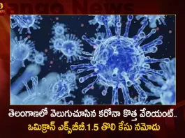 INSACOG Reports New Omicron Sub-variant XBB.1.5 First Case Found in Telangana,Xbb 1 5 Variant 2,Xbb 1 5 Variant 1,Xbb 1 5 Variant 4,Xbb 1 5 Variant 3,Xbb 1 5 Variant 5,Mango News,Mango News Telugu,XBB.1.5 Sub-variant Cases,INSACOG Announces Five Cases,INSACOG Announces Xbb 1 5 Variant Cases,BF7 Variant Cases,BF7 Variant Latest News and Updates,Omicron BF7 Symptoms,BF7 Variant Symptoms,BF7 Variant Severity,Omicron BF7 In India,BF7 Covid Variant,Ba 5 1 7 Variant,Omicron New Variant,Omicron New Variant In India,Omicron Bf.7 Symptoms,Bf.7 Variant Severity,Omicron Bf.7 In India,Ba 5.1 7 Variant,Bf.7 Variant,BF7 Variant In India,Bf.7 Variant Covid,Bf.7 Variant Cdc,Bf.7 Variant Canada,Bf.7 Variant Uk,Bf.7 Variant Belgium,Bf.7 Variant Mutations,Covid BF7 Variant,Omicron BF7 Variant,Covid BF7 Variant Symptoms