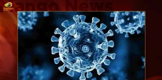 India Corona Updates 228 New Positive Cases 4 Deaths Reported in the Last 24 Hours,4 Covid Deaths,Covid Last 24 Hours, 228 People Tested Positive,Coronavirus In India,Mango News,Mango News Telugu,Covid In India,Covid,Covid-19 India,Covid-19 Latest News And Updates,Covid-19 Updates,Covid India,India Covid,Covid News And Live Updates,Carona News,Carona Updates,Carona Updates,Cowaxin,Covid Vaccine,Covid Vaccine Updates And News,Covid Live