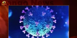 India Record 80 Fresh Corona Positive Cases and 220.45 Cr Total Vaccine Doses have been Administered,Covid Deaths,Covid Last 24 Hours, 80 People Tested Positive,Coronavirus In India,Mango News,Mango News Telugu,Covid In India,Covid,Covid-19 India,Covid-19 Latest News And Updates,Covid-19 Updates,Covid India,India Covid,Covid News And Live Updates,Carona News,Carona Updates,Carona Updates,Cowaxin,Covid Vaccine,Covid Vaccine Updates And News,Covid Live